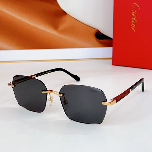SANTOS SQUARE FRAME SUNGLASSES CT0483S IN METAL