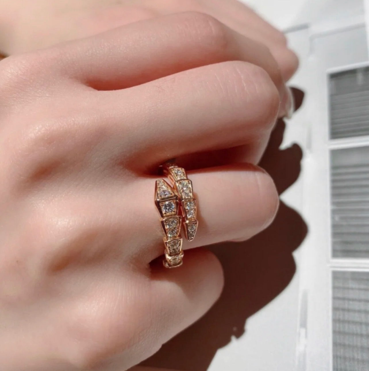 BVL Rings
