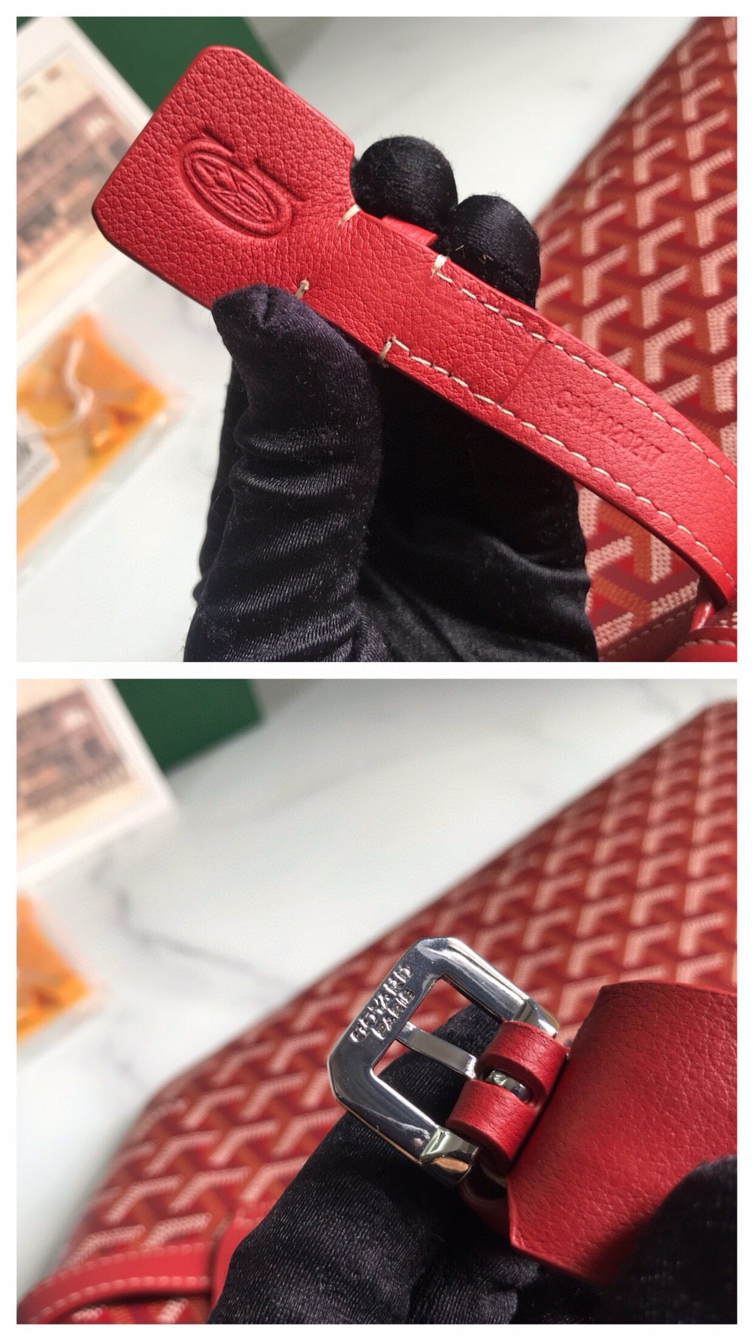 CHIEN GRIS & POCKET 34 RED CANVAS